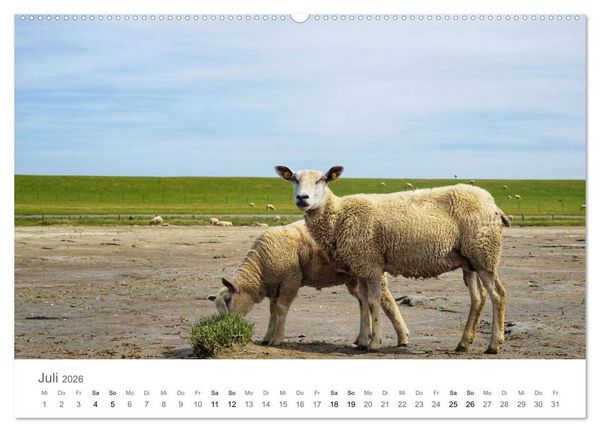 Produktbild: Nordfriesland (Wandkalender 2026 DIN A2 quer), CALVENDO Monatskalender