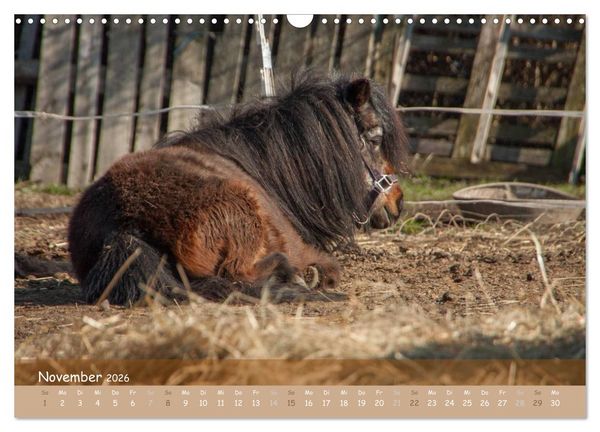 Produktbild: Mit Pferden durch&acute;s Jahr (Wandkalender 2026 DIN A3 quer), CALVENDO Monatskalender