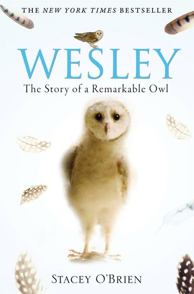 Produktbild: Wesley