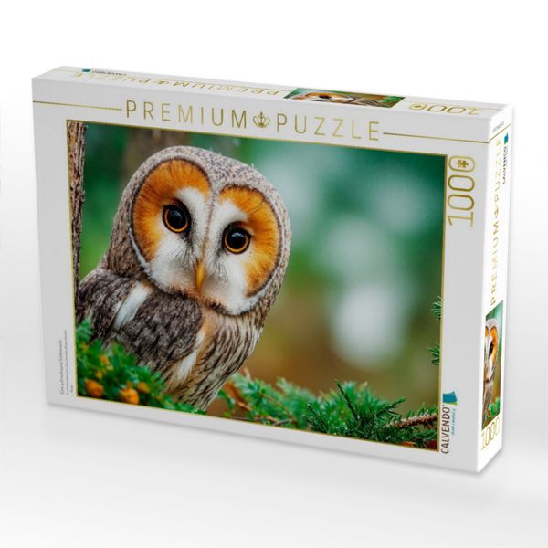 Produktbild: CALVENDO Puzzle Eine aufmerksame Schleiereule | 1000 Teile Lege-Gr&ouml;&szlig;e 64x48cm Foto-Puzzle f&uuml;r gl&uuml;ckliche Stunden
