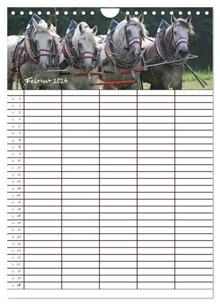 Produktbild: Der Kaltblut-Familienplaner (Wandkalender 2026 DIN A4 hoch), CALVENDO Monatskalender