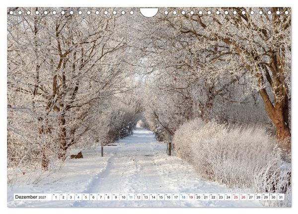 Produktbild: L&uuml;neburger Heide &ndash; Im Wandel der Jahreszeiten (Wandkalender 2027 DIN A4 quer), CALVENDO Monatskalender