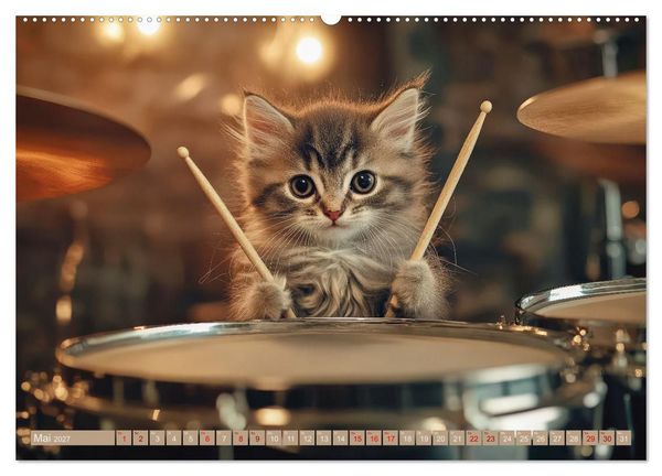 Produktbild: Miau-sikalische Momente (hochwertiger Premium Wandkalender 2027 DIN A2 quer), Kunstdruck in Hochglanz
