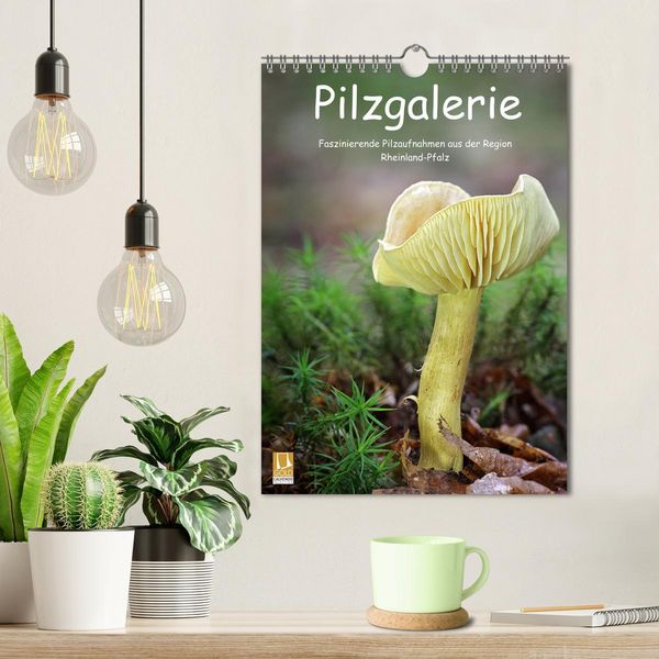 Produktbild: Pilzgalerie - Faszinierende Pilzaufnahmen aus der Region Rheinland-Pfalz (Wandkalender 2026 DIN A4 hoch), CALVENDO Monatskalender