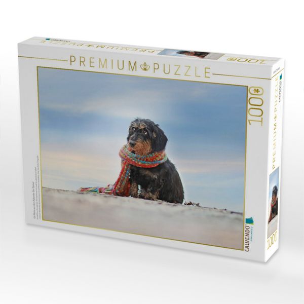 Produktbild: CALVENDO Puzzle Ein Motiv aus dem Kalender Der Dackel | 1000 Teile Lege-Gr&ouml;&szlig;e 64x48cm Foto-Puzzle f&uuml;r gl&uuml;ckliche Stunden