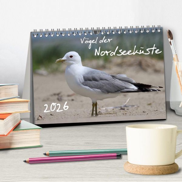 Produktbild: V&ouml;gel der Nordseek&uuml;ste (Tischkalender 2026 DIN A5 quer), CALVENDO Monatskalender