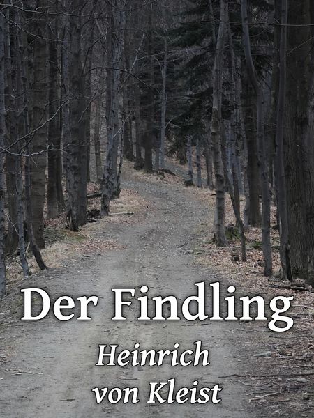 Produktbild: Der Findling