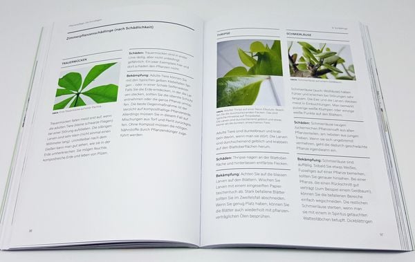 Produktbild: Gr&uuml;nes Zuhause