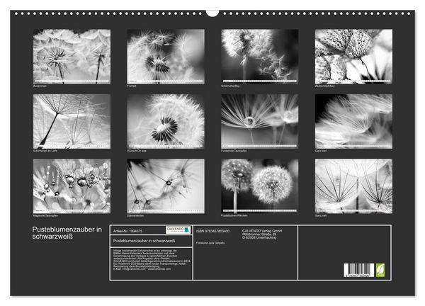 Produktbild: Pusteblumenzauber in schwarzwei&szlig; (Wandkalender 2026 DIN A2 quer), CALVENDO Monatskalender