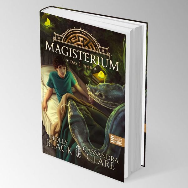 Produktbild: Magisterium - Das 3. Jahr