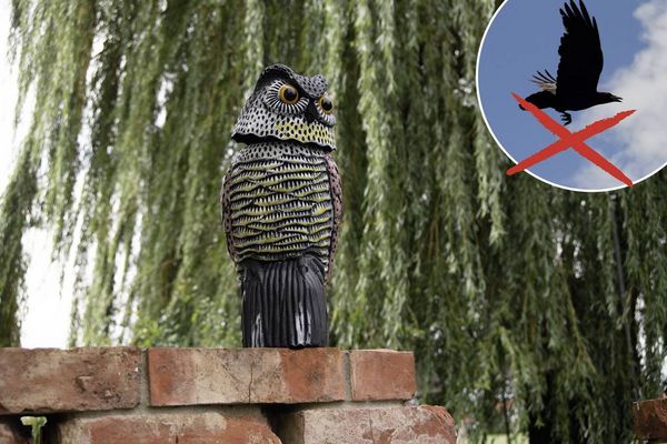 Produktbild: Gardigo Eule Vogelvertreiber Funktionsart Abschreckung 1St.