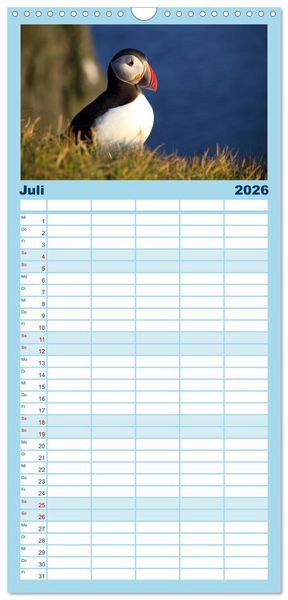 Produktbild: Familienplaner 2026 - Island - Iceland mit 5 Spalten (Wandkalender, 21 x 45 cm) CALVENDO