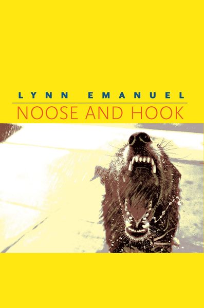 Produktbild: Noose and Hook