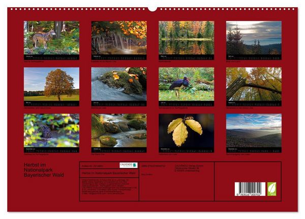 Produktbild: Herbst im Nationalpark Bayerischer Wald (hochwertiger Premium Wandkalender 2026 DIN A2 quer), Kunstdruck in Hochglanz