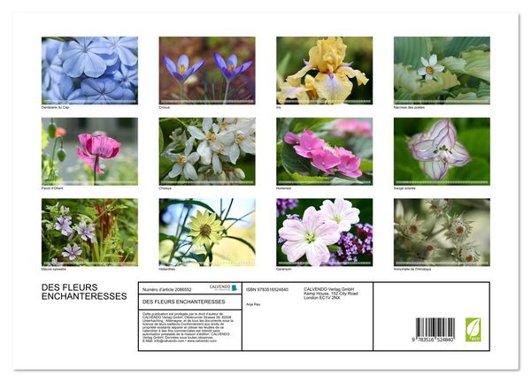 Produktbild: DES FLEURS ENCHANTERESSES (Calendrier mural 2026 DIN A3 vertical), CALVENDO calendrier mensuel