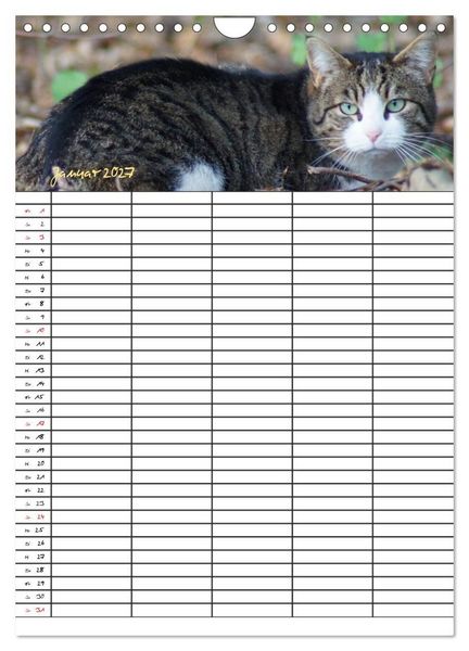 Produktbild: Bauernhoftiere Familienplaner (Wandkalender 2027 DIN A4 hoch), CALVENDO Monatskalender