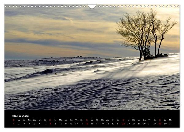 Produktbild: AUBRAC (Calendrier mural 2026 DIN A3 vertical), CALVENDO calendrier mensuel
