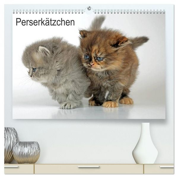 Produktbild: Perserk&auml;tzchen (hochwertiger Premium Wandkalender 2026 DIN A2 quer), Kunstdruck in Hochglanz