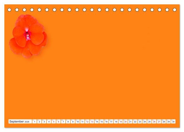 Produktbild: DIY POESIE - BASTELKALENDER (Tischkalender 2026 DIN A5 quer), CALVENDO Monatskalender