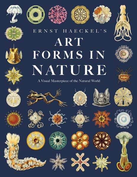Produktbild: Ernst Haeckel's Art Forms in Nature