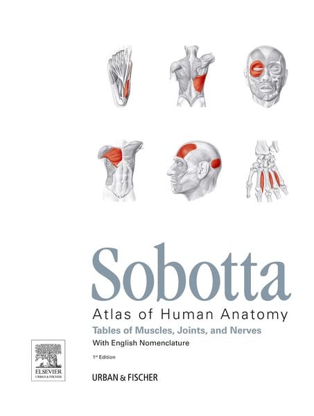 Produktbild: Sobotta Tables of Muscles, Joints and Nerves, English