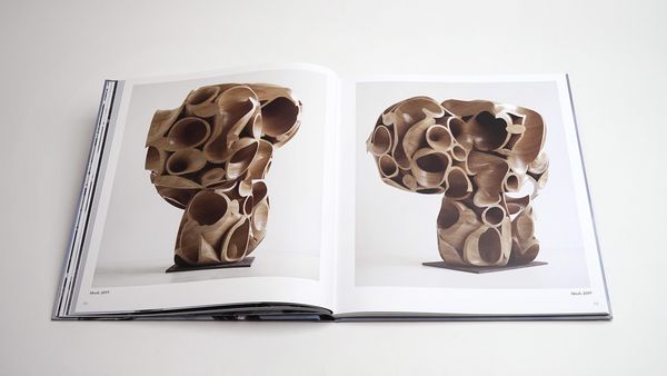 Produktbild: Tony Cragg: Points of View