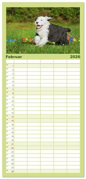 Produktbild: Familienplaner 2026 - In der Kinderstube bei Familie Bobtail mit 5 Spalten (Wandkalender, 21 x 45 cm) CALVENDO