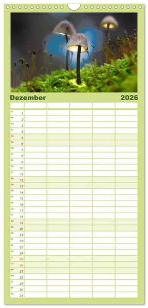 Produktbild: Familienplaner 2026 - Pilzmagie mit 5 Spalten (Wandkalender, 21 x 45 cm) CALVENDO