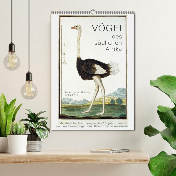 Produktbild: V&ouml;gel des s&uuml;dlichen Afrika (Wandkalender 2026 DIN A2 hoch), CALVENDO Monatskalender