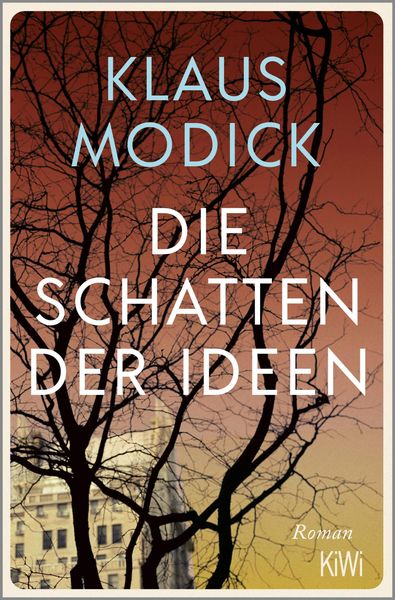 Produktbild: Die Schatten der Ideen