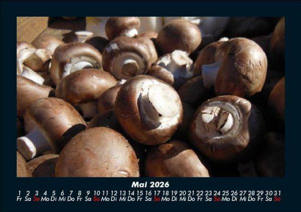 Produktbild: Pilzkalender 2026 Fotokalender DIN A5