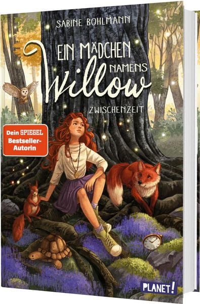Produktbild: Ein M&auml;dchen namens Willow 6: Zwischenzeit