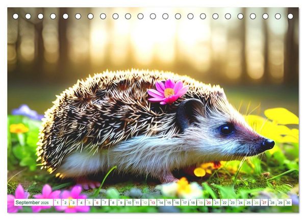 Produktbild: Niedliche Igel (Tischkalender 2026 DIN A5 quer), CALVENDO Monatskalender