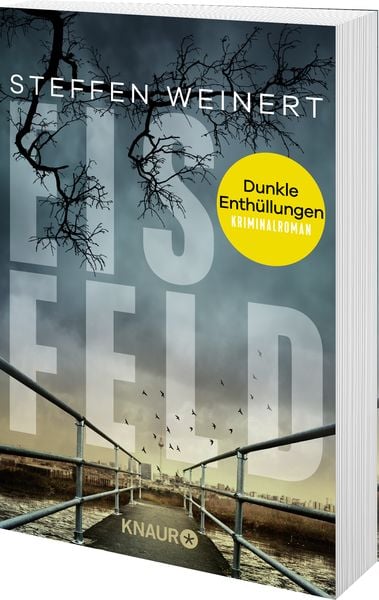Produktbild: Eisfeld – Dunkle Enthüllungen