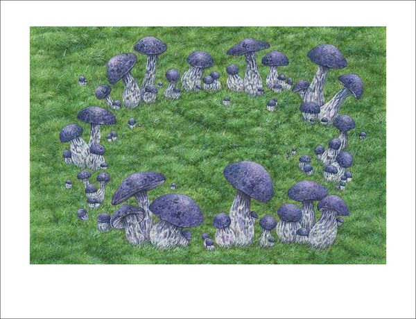 Produktbild: Pilze
