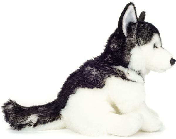 Produktbild: Teddy Hermann 91976 - Husky sitzend, Hund-Pl&uuml;schtier, 30 cm