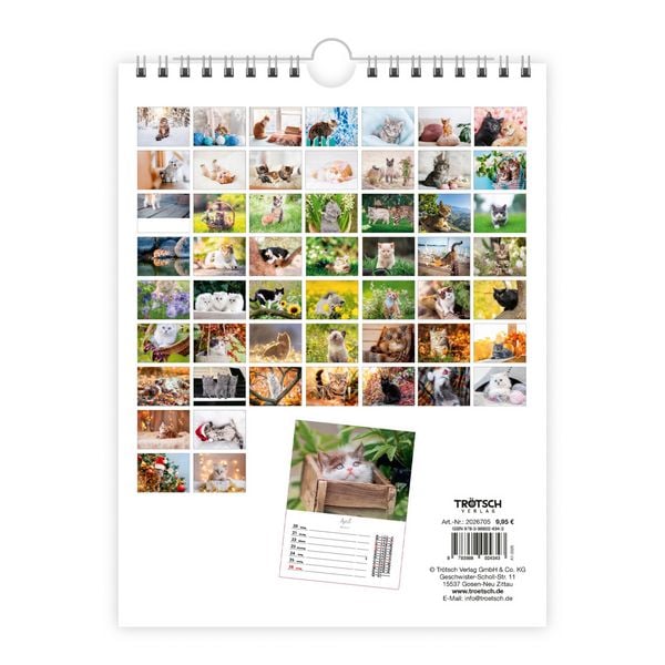 Produktbild: TR&Ouml;TSCH - Wochenkalender zum H&auml;ngen Katzen 2027