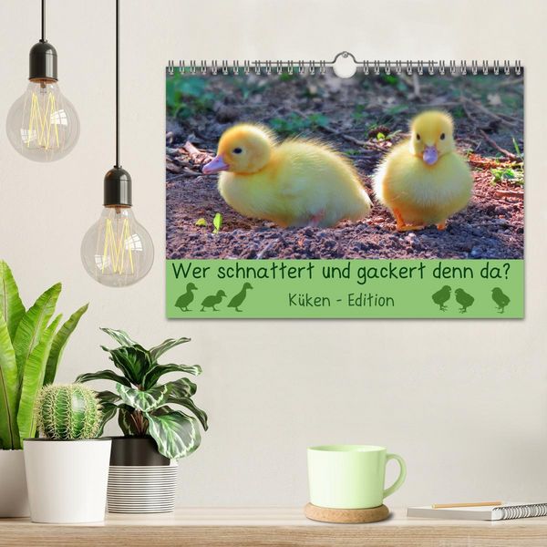 Produktbild: Wer schnattert und gackert denn da? - K&uuml;ken-Edition (Wandkalender 2026 DIN A4 quer), CALVENDO Monatskalender