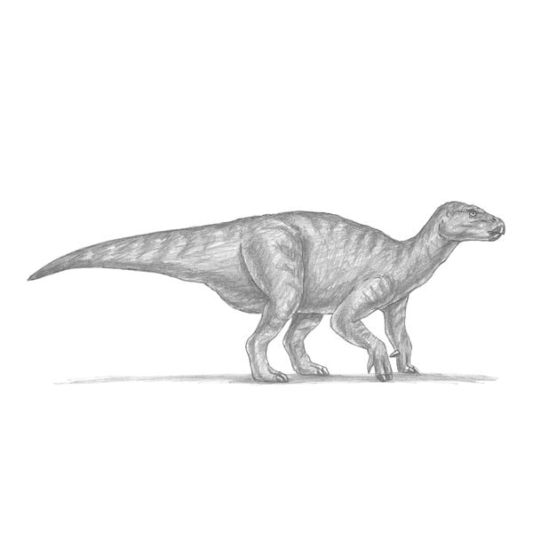 Produktbild: Die Kunst des Zeichnens f&uuml;r Kinder - Ich zeichne Dinosaurier