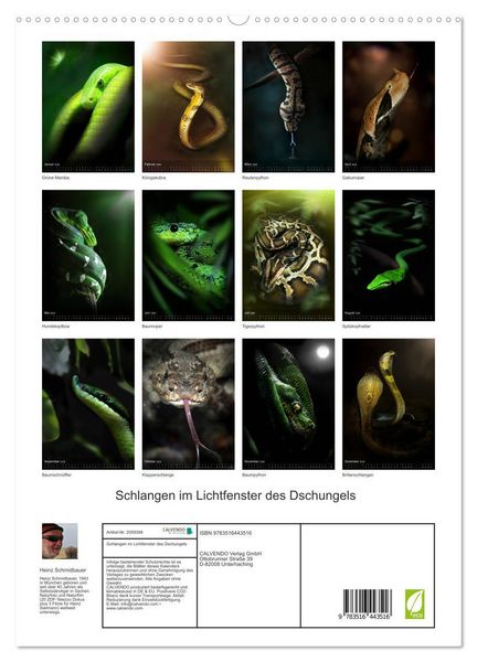 Produktbild: Schlangen im Lichtfenster des Dschungels (hochwertiger Premium Wandkalender 2026 DIN A2 hoch), Kunstdruck in Hochglanz