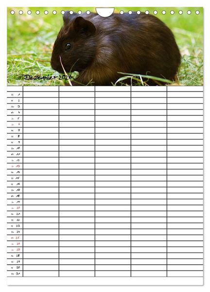 Produktbild: Meerschweinchen und Kaninchen Familienplaner (Wandkalender 2026 DIN A4 hoch), CALVENDO Monatskalender