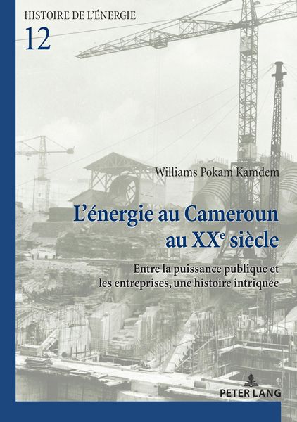 Produktbild: L'&eacute;nergie au Cameroun au XXe si&egrave;cle