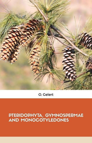 Produktbild: Pteridophyta, Gymnospermae and Monocotyledones