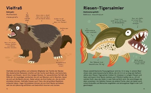 Produktbild: Das Lexikon gruseliger Tiere