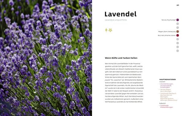 Produktbild: Selbst heilen mit Kr&auml;utern
