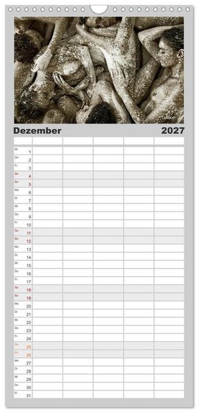Produktbild: Familienplaner 2027 - FARBSPIELE - Akt im Feuerwerk der Farben mit 5 Spalten (Wandkalender, 21 x 45 cm) CALVENDO