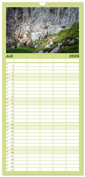 Produktbild: Familienplaner 2026 - Steinb&ouml;cke - Majest&auml;tische Tiere der Alpen mit 5 Spalten (Wandkalender, 21 x 45 cm) CALVENDO