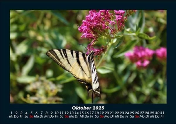 Produktbild: Bilder aus der Natur 2025 Fotokalender DIN A5
