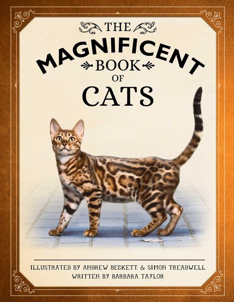 Produktbild: The Magnificent Book of Cats