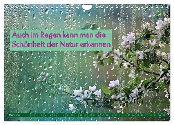Produktbild: Regenmomente &ndash; Spr&uuml;che f&uuml;r graue Tage (Wandkalender 2026 DIN A4 quer), CALVENDO Monatskalender